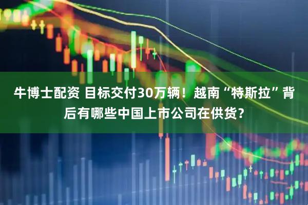 牛博士配资 目标交付30万辆！越南“特斯拉”背后有哪些中国上市公司在供货？